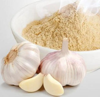 Garlic